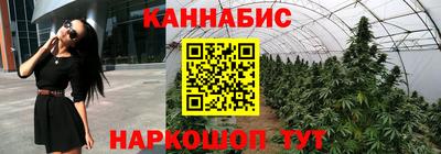 стаф Кунгур