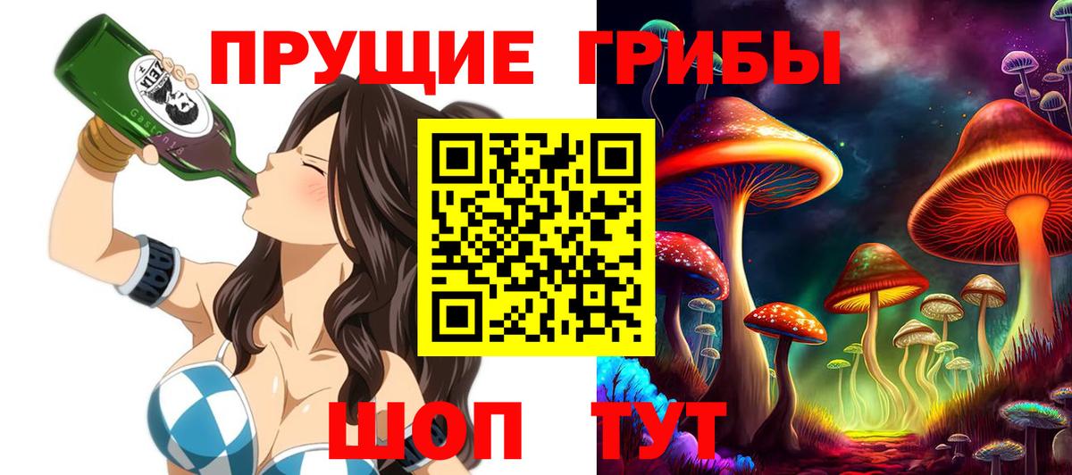 Псилоцибиновые грибы Cubensis Ивантеевка